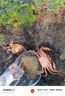 臻佑（Grsaed）釣魚(yú)抄網(wǎng)2.5米加厚不銹鋼可伸縮抄網(wǎng)桿輕便攜撈魚(yú)網(wǎng)兜抄網(wǎng)頭套裝 曬單實(shí)拍圖