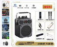 YTFY柏林之聲500W戶(hù)外手提廣場(chǎng)舞音響大音量家用K歌藍牙音箱帶麥克風(fēng) 【500W大功率低音炮+無(wú)線(xiàn)話(huà)筒2個(gè)】送U盤(pán)+遙控器 曬單實(shí)拍圖