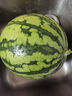 【產(chǎn)地直采】麒麟奶油西瓜 約4.5kg 曬單實(shí)拍圖