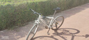 SAMASSI薩瑪仕 蒼龍3d打印坐墊 公路車(chē)山地車(chē)自行車(chē)短鼻碳纖維騎行座墊 245*143小屁股必選-T800碳底碳弓 曬單實(shí)拍圖