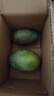 【新鮮上市】正宗攀枝花凱特芒果新鮮水果 帶箱2斤200g+ 曬單實(shí)拍圖
