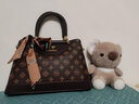 雪愛(ài)袋鼠送媽媽禮物30歲40老婆50手提包2025年新款媽媽包母親女士包包女包 棕色[禮盒+絲巾+手包卡包] 曬單實(shí)拍圖