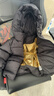 嘟嘟家【三防小絨被】寶寶羽絨服冬季男童衣服冬款女童冬裝兒童防寒服冬 黑色 100 曬單實(shí)拍圖