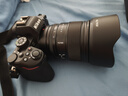 尼康（Nikon）【國行帶票】Z50II半畫(huà)幅新手入門(mén)級微單相機Z50 II 高清攝影攝像 直播美顏自拍z50二代便攜相機 Z50II 單機/全新未開(kāi)封（不含鏡頭） 官方標配【下單送屏幕膜+座充+清潔 曬單實(shí)拍圖