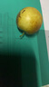 【脆甜多汁】新鮮采摘大荔冬棗當季水果脆棗鮮棗青棗整箱包郵 帶箱2斤（單果12-16g） 曬單實拍圖