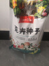 花友秀萬壽菊混色種子花卉種籽易活盆栽花卉庭院室外野花種子花海打造】 曬單實(shí)拍圖