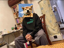 男士衛(wèi)衣運(yùn)動(dòng)套裝秋冬新款潮流時(shí)尚帥氣加絨搭配休閑百搭男裝新款 黑色 XL 曬單實(shí)拍圖