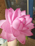 愛他美（Aptamil）新老國(guó)標(biāo)隨機(jī)發(fā)經(jīng)典兒童奶粉配方奶粉(3-6歲)800g【優(yōu)配益生元】 曬單實(shí)拍圖