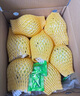 京鮮生 軟糯奶油白心芭樂 凈重2.5斤裝單果150g+ 番石榴 中秋禮品 曬單實拍圖