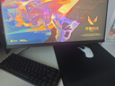 卓威奇亞（ZOWIE GEAR）G-TR 電競鼠標墊 細面鼠標墊 游戲鼠標墊 控制墊 澀墊 電競桌墊 GTR 曬單實(shí)拍圖
