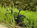 千里達龍卷風(fēng)700藍圖R9桶軸22速油壓碟剎騎行公路車(chē)自行車(chē)成人男女學(xué)生 龍卷風(fēng)700-水滴形座管 22速 星河綠 700C*520mm適183-190cm 左右 曬單實(shí)拍圖
