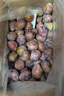 佳農(nóng) 新疆喀什法蘭西西梅 凈重3斤 單果17g起 禮盒 生鮮水果 曬單實拍圖