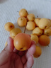 趣覓鮮鞍山南果梨香水梨子禮盒裝正宗東北特產(chǎn)南國梨子紅皮新鮮水果 5斤帶箱黃果40個(gè)左右 曬單實(shí)拍圖