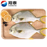 翔泰海南深海金鯧魚(yú)700g 2條 燒烤 火鍋 生鮮魚(yú)類(lèi) BAP認證 海鮮水產(chǎn) 曬單實(shí)拍圖