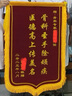 源璽錦旗定制錦旗定做感謝醫(yī)生老師定制贈送幼兒園教師物業(yè)月嫂生日訂做美容院高檔植絨裝修旌旗制作 【推薦】發(fā)泡字（精美小龍須）70*110cm 曬單實拍圖
