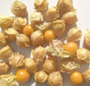 東北特產(chǎn)姑娘果菇娘果燈籠果新鮮水果精品商超品質(zhì) 商超品質(zhì) 凈重3斤裝 曬單實(shí)拍圖