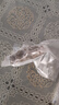 三只海豚 即食海參 大連鮮食刺參單個(gè)裝 遼刺參13-17只500g固形物≥60% 曬單實(shí)拍圖