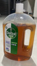 滴露（Dettol）洗衣消毒液衣物消毒水750mL除螨 家居寵物地板殺菌 非84酒精 曬單實拍圖