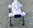盈佳遙控機器狗兒童玩具男孩遙控汽車(chē)ai智能編程早教機器人生日禮物 曬單實(shí)拍圖