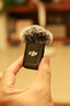 大疆 DJI Osmo Pocket 3 全能套裝 一英寸口袋云臺相機 OP靈眸手持數(shù)碼相機 旅游vlog 便攜美顏攝像 曬單實拍圖
