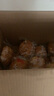 百草味手撕面包1000g 早餐小面包代餐蛋糕糕點(diǎn)點(diǎn)心整箱量販休閑零食團購 曬單實(shí)拍圖