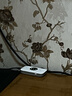 聯(lián)想thinkplus電腦直播攝像頭2K高清帶麥克風(fēng)電腦會(huì )議攝像頭自動(dòng)對焦免驅視頻會(huì )議直播帶貨攝像頭WL24A 曬單實(shí)拍圖