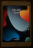 煥新機Apple蘋(píng)果ipad10/Pro2022/21/20款 /air5/mini6二手平板電腦 iPad mini4 曬單實(shí)拍圖