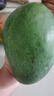 集南鮮 凱特芒果 四川攀枝花芒果當季大青皮黃皮大芒果新鮮水果整箱 含箱10斤  單果500g起  凈重9斤 曬單實(shí)拍圖