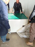 平鋪打磨臺拋光除塵工作臺五金木工去毛刺吸塵臺砂輪石材粉塵收集 臥式拋光打磨集塵臺【配件】 曬單實(shí)拍圖