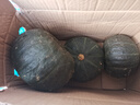 粵迎山東貝貝南瓜板栗口感源頭直發(fā)香甜兒童輔食美味粗糧新鮮蔬菜生鮮 5斤 精選裝【香甜粉糯】?jī)?.5斤 曬單實(shí)拍圖
