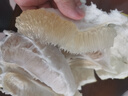 京鮮生 云南西雙版納傣柚1粒裝 單果1000g+ 中秋水果 源頭直發(fā)包郵 曬單實(shí)拍圖