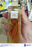 伊麗莎白雅頓第五大道香水75ml 持久留香自然清新香氛情人節禮物 曬單實(shí)拍圖