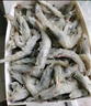 漁游記（YUYOUJI）國產(chǎn)青島大蝦凈重3.6斤鹽凍白蝦大號20-25只/斤白蝦基圍蝦蝦類(lèi) 曬單實(shí)拍圖