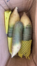鳶語(yǔ)山東濰坊蘿卜凈重2.5kg 中果 青蘿卜濰縣蘿卜源頭直發(fā)包郵 曬單實(shí)拍圖