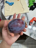 Member's Mark 海鮮什錦 1.1kg 1.1kg 曬單實拍圖
