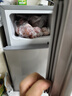 志高（CHIGO）小冰箱迷你小型家用冷藏冷凍兩用宿舍出租房用雙門(mén)辦公室電冰箱節能省電 【店長(cháng)推薦】48L銀色【三天約一度電】 曬單實(shí)拍圖
