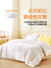 富安娜兒童純棉抗菌30%大豆纖維被 春秋被3.1斤152*210cm 曬單實(shí)拍圖