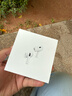 Apple/蘋果 AirPods Pro (第二代) 搭配MagSafe充電盒 (USB-C) 蘋果耳機(jī) 藍(lán)牙耳機(jī) 適用iPhone/iPad/Mac 曬單實(shí)拍圖