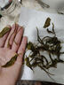 尋西湖茶葉綠茶碧螺春茶 特級(jí)明前嫩芽碧螺春花果香耐泡型茶葉100g 曬單實(shí)拍圖