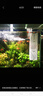 森森 小鯉魚缸過濾器凈水循環(huán)三合一內(nèi)置水族箱過濾系統(tǒng)XQP-500F 6W 曬單實(shí)拍圖