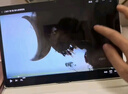 HUAWEI MatePad 11.5''S 靈動(dòng)款 國家補貼15% 華為平板電腦高刷2.8K全面屏學(xué)習8+256GB WIFI深空灰 曬單實(shí)拍圖