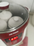天際不銹鋼隔水燉鍋陶瓷燕窩電燉盅全自動(dòng)煲湯鍋大容量一鍋四膽5人6人 標配版一鍋四膽 無(wú)蒸籠 3.2L 曬單實(shí)拍圖