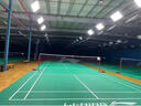 航得LED球場(chǎng)專(zhuān)用排燈羽毛球館照明防刺眼體育館兵乓球燈升降式場(chǎng)館燈 120cm*60cm 200W【單面】 曬單實(shí)拍圖