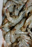 鮮享純【青島蝦】超大蝦新鮮大蝦冷凍鮮活青島大蝦批發(fā)整箱基圍蝦青蝦 15-17厘米鮮蝦速凍 3斤(凈重) 曬單實(shí)拍圖