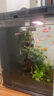 米家智能桌面魚缸小米生態(tài)魚缸+畫法增氧泵套裝 曬單實(shí)拍圖