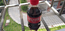 可口可樂（Coca-Cola）可樂300ml小瓶碳酸飲料沖調(diào)批發(fā)囤貨聚會(huì)整箱可樂批發(fā) 可樂6瓶 曬單實(shí)拍圖