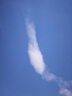 海鷗（SEAGULL）手表男士自動機械表 日歷鋼帶男士手表 七夕禮物男表 白盤條釘 曬單實拍圖