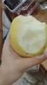 河北皇冠梨肉質(zhì)酥脆甘甜多汁新鮮生鮮水果活動(dòng)專享1 帶箱4斤 單果170g+ 曬單實(shí)拍圖