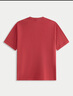 ABERCROMBIE & FITCH【重磅百搭】男裝25夏季經(jīng)典小麋鹿棉質(zhì)圓領(lǐng)短袖T恤KI124-5181 紅色 XL (180/116A) 曬單實(shí)拍圖