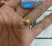 東一珠寶足金金豆足金999.9黃金投資理財送禮1g金豆（贈國檢證書(shū)漂流瓶） 金豆（5g）帶證書(shū)送攢金瓶 曬單實(shí)拍圖